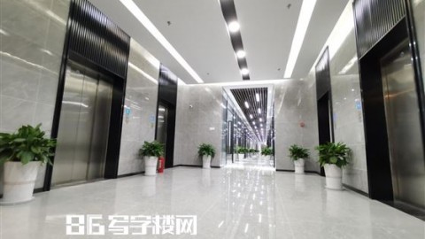 我在上海找AI认证代理踩过的坑：别让“包过”忽悠了你的血汗钱